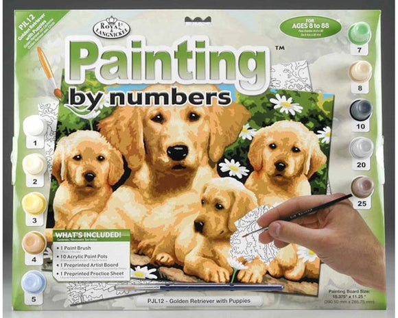 Paint by Numbers ~ Golden Retrievers